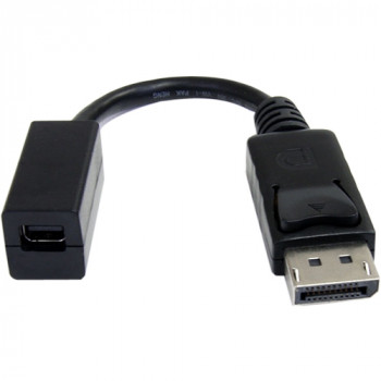 StarTech.com 6in DisplayPort to Mini DisplayPort Video Cable Adapter - M/F