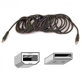 Belkin F3U133B10 USB Data Transfer Cable - 3.66 m