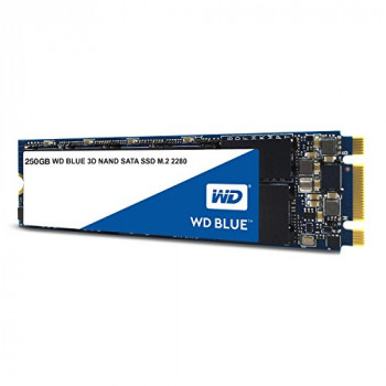 Western Digital WDS250G2B0B WD Blue 250 GB 3D NAND SATA Internal Solid State Drive - Black