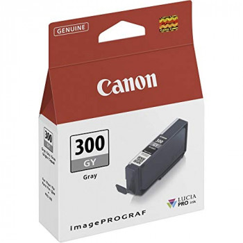 Canon 4200C001, PFI300GY, Grey